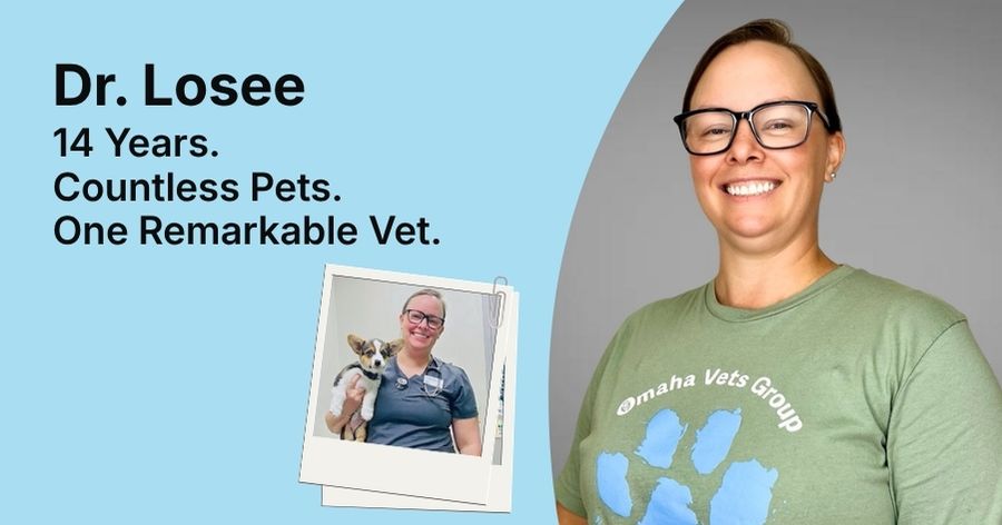 Thank You, Dr. Losee: 14 Years of Caring for Our Community's Pets