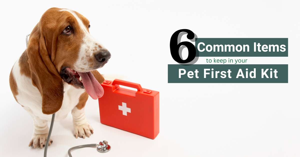 First Aid Kit for Your Pet