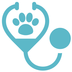 Unlimited Exams &Rechecks