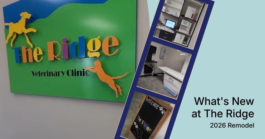 The Ridge Veterinary Clinic's Remodel is Complete