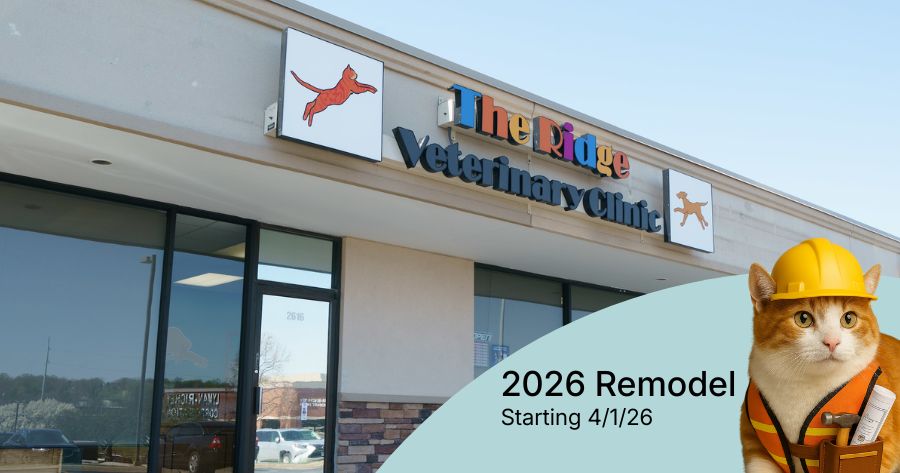 The Ridge Renovations